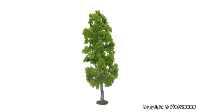 Birk. 18 - 22 cm høj. Vollmer 48401.